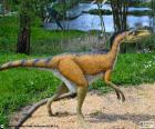 Troodon uzun boyunlu, kollarını pençeleri ve onları mükemmel koşucular yapılan güçlü bacaklar ile 3 parmak vardı. 1 uzun uzun, metre ve arasında 27 ve 45 kg ağırlığında yaklaşık 2 ölçme